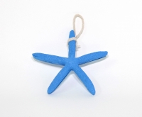 Coquillage Etoile de mer (Grand et Mince)