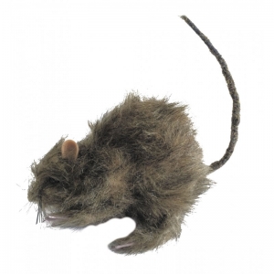 Faux Rat