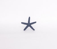 coquillage Etoile de mer (Petit)