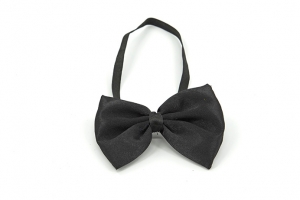 Noeud papillon