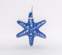 Coquillage Etoile de mer (Grand et Epais)